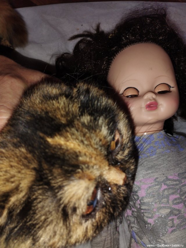 Чей то уход может дать жизнь тому, кто уже начал готовиться к самому тяжелому