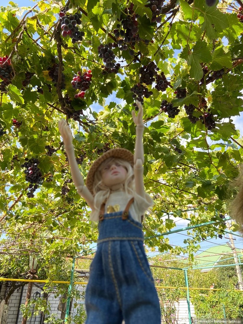 Бархатный сезон Птички Лоры