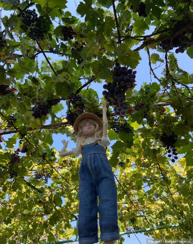 Бархатный сезон Птички Лоры