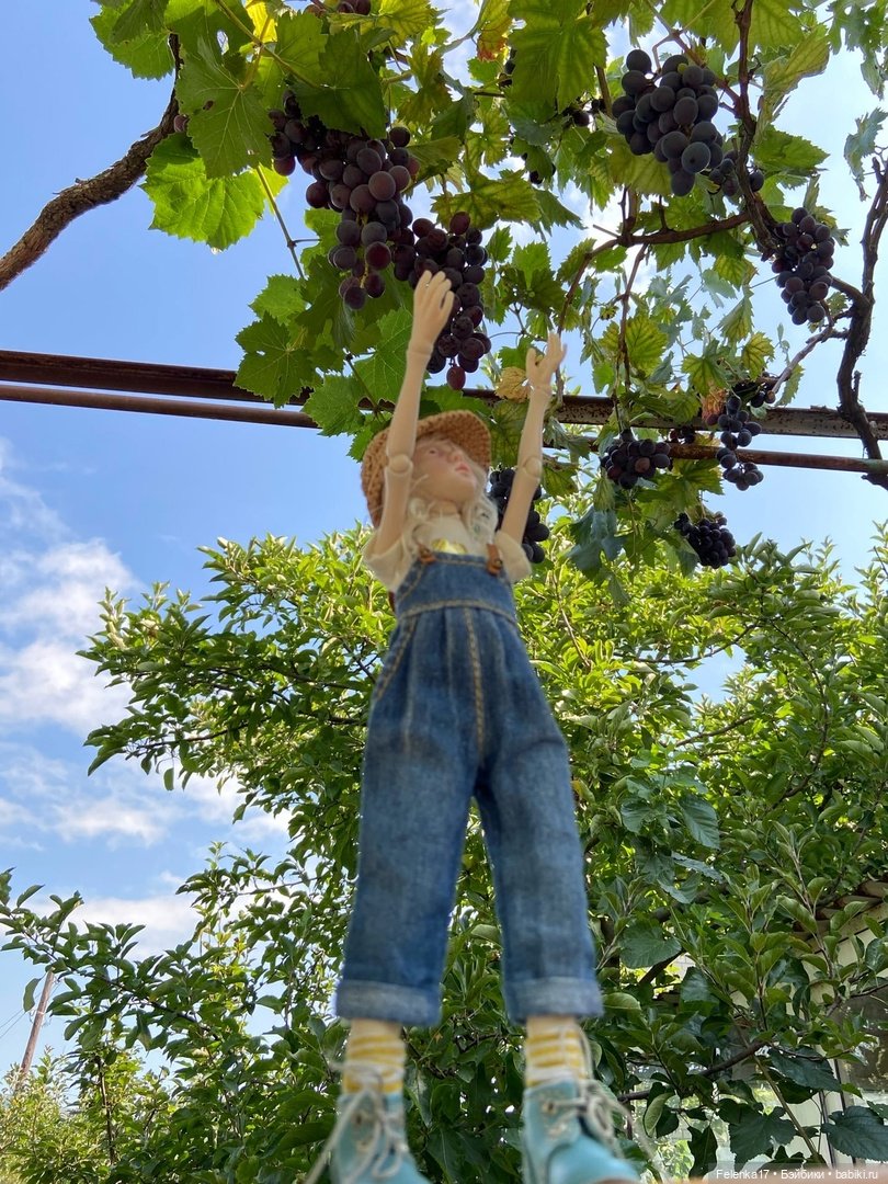 Бархатный сезон Птички Лоры