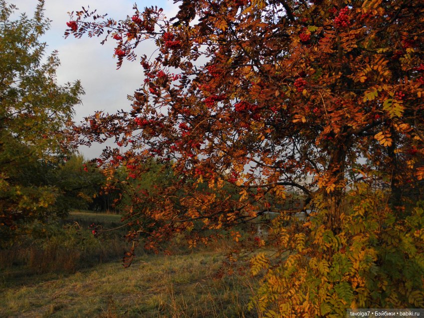 Октябрь — Игровые куклы разных производителей (Разное): редкие бренды (фото 9)