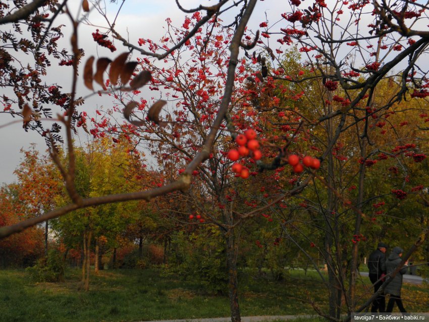 Октябрь — Игровые куклы разных производителей (Разное): редкие бренды (фото 8)