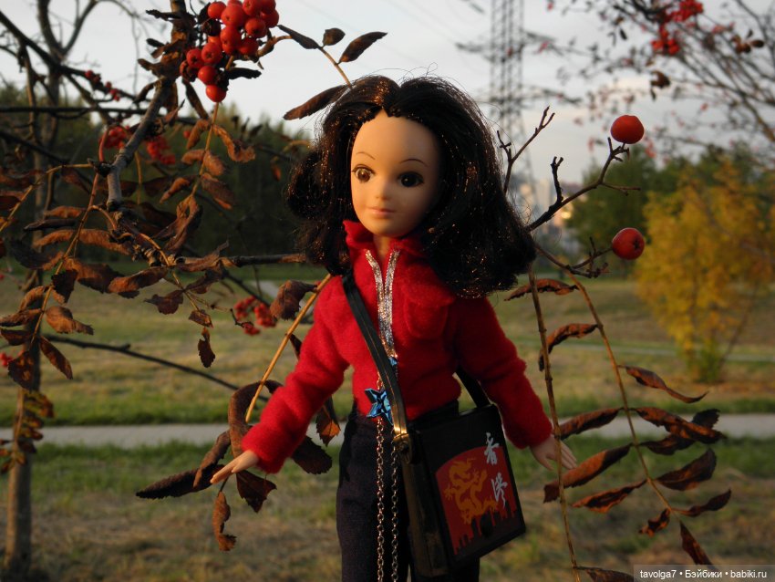 Октябрь — Игровые куклы разных производителей (Разное): редкие бренды (фото 6)