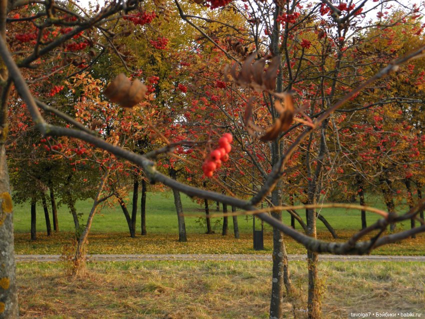 Октябрь — Игровые куклы разных производителей (Разное): редкие бренды (фото 7)