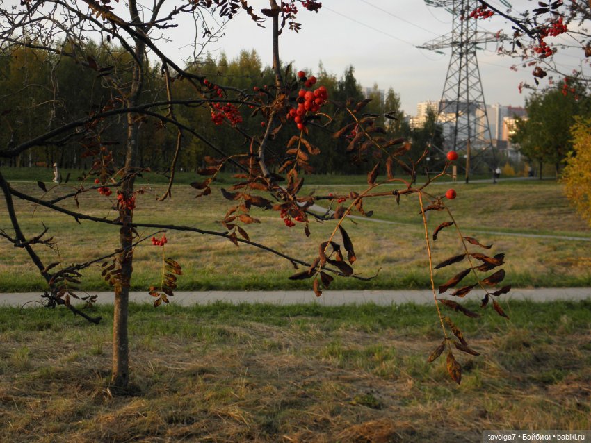 Октябрь — Игровые куклы разных производителей (Разное): редкие бренды (фото 5)