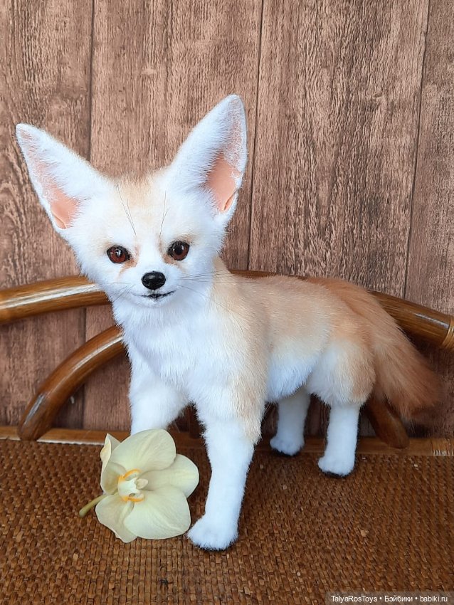 Фенеки — Авторские мишки Тедди и друзья: фото