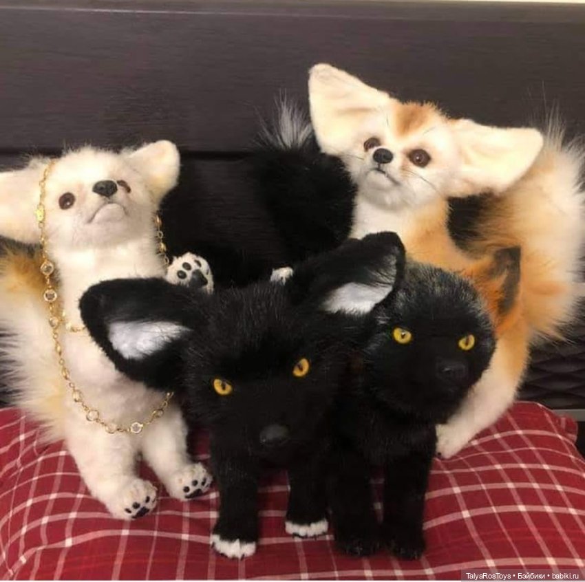 Фенеки — Авторские мишки Тедди и друзья: фото (фото 7)