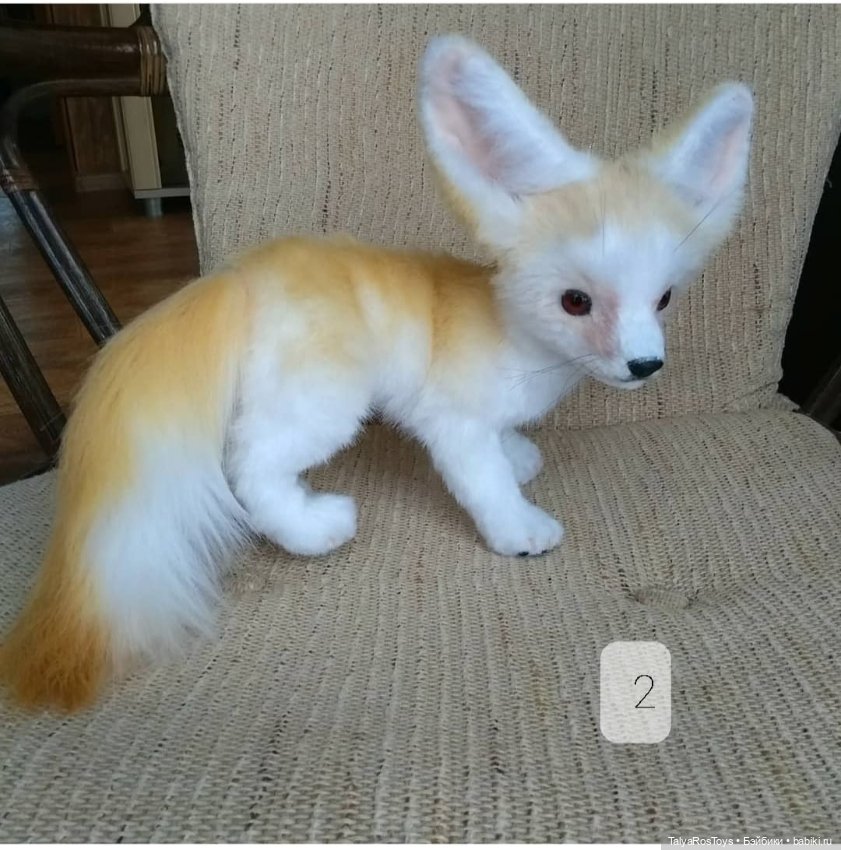 Фенеки — Авторские мишки Тедди и друзья: фото (фото 3)