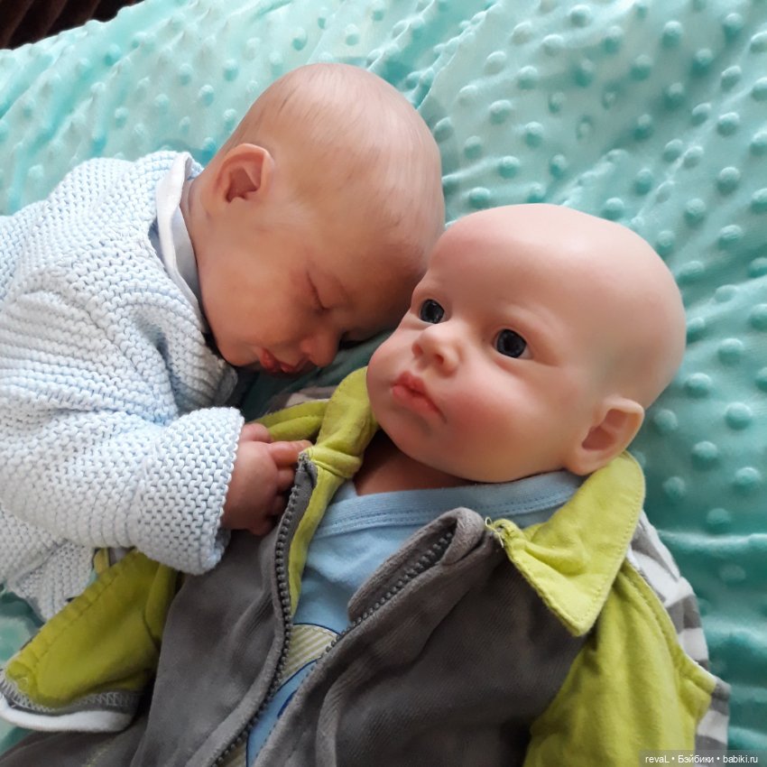 Тест ДНК или как у Lou-Lou нашелся родственник в Китае часть 2