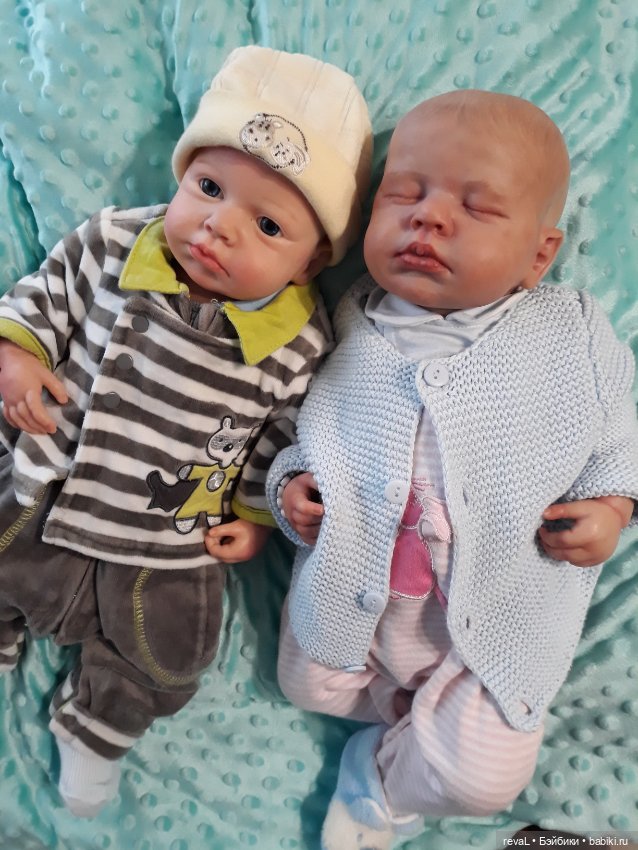 Тест ДНК или как у Lou-Lou нашелся родственник в Китае часть 2 (фото 8)