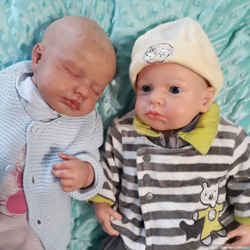 Тест ДНК или как у Lou-Lou нашелся родственник в Китае часть 2 (фото 10)