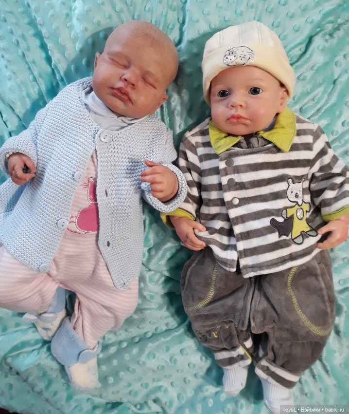 Тест ДНК или как у Lou-Lou нашелся родственник в Китае часть 2 (фото 9)