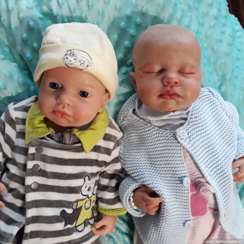 Тест ДНК или как у Lou-Lou нашелся родственник в Китае часть 2 (фото 7)