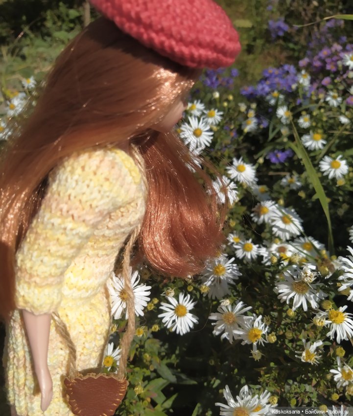 Осень Дианы — Игровые куклы разных производителей (Разное): редкие бренды (фото 8)