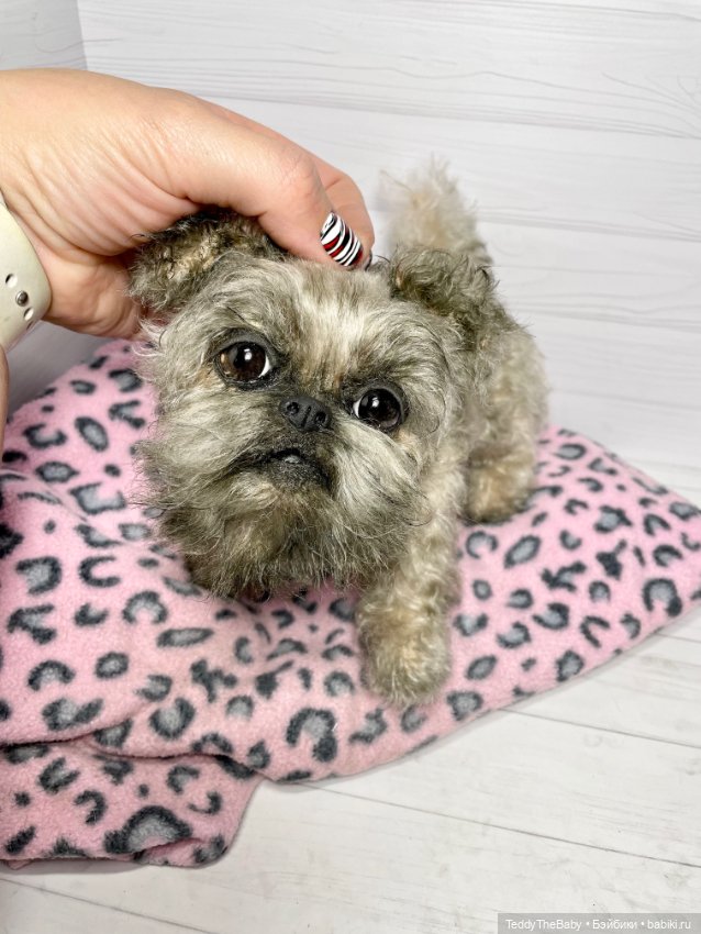 Blondie🐾 — Реалистичные игрушки и звери (Натюр): собаки