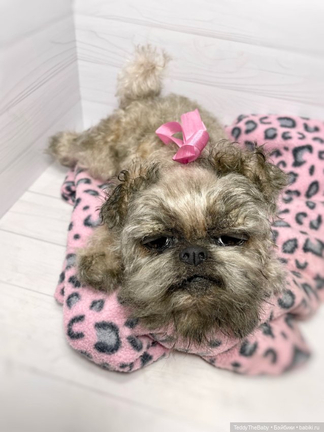 Blondie🐾 — Реалистичные игрушки и звери (Натюр): собаки (фото 9)