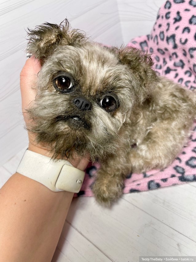 Blondie🐾 — Реалистичные игрушки и звери (Натюр): собаки