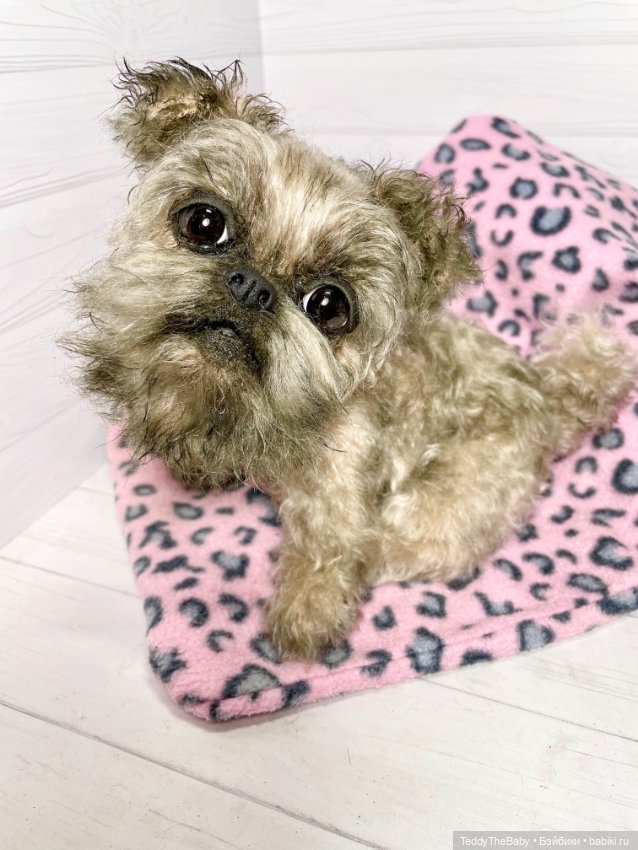 Blondie🐾 — Реалистичные игрушки и звери (Натюр): собаки