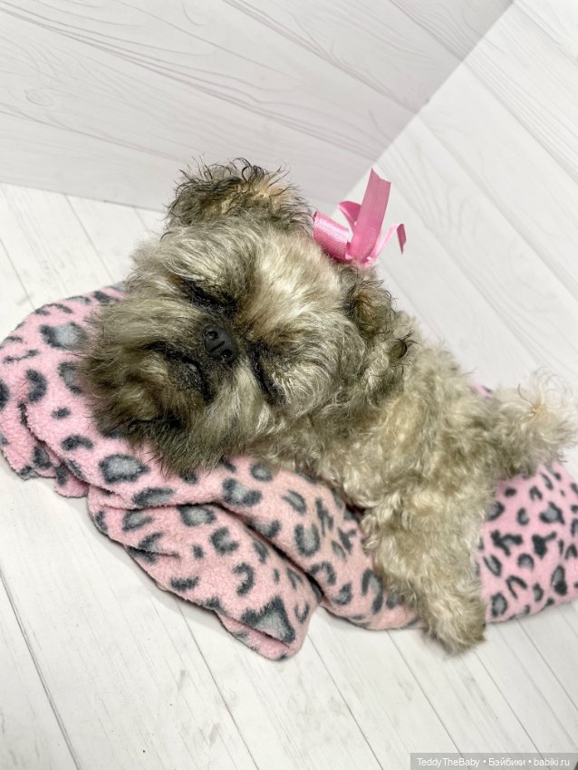 Blondie🐾 — Реалистичные игрушки и звери (Натюр): собаки (фото 7)