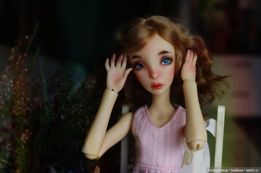 Моя любимая Lillycat Constantine