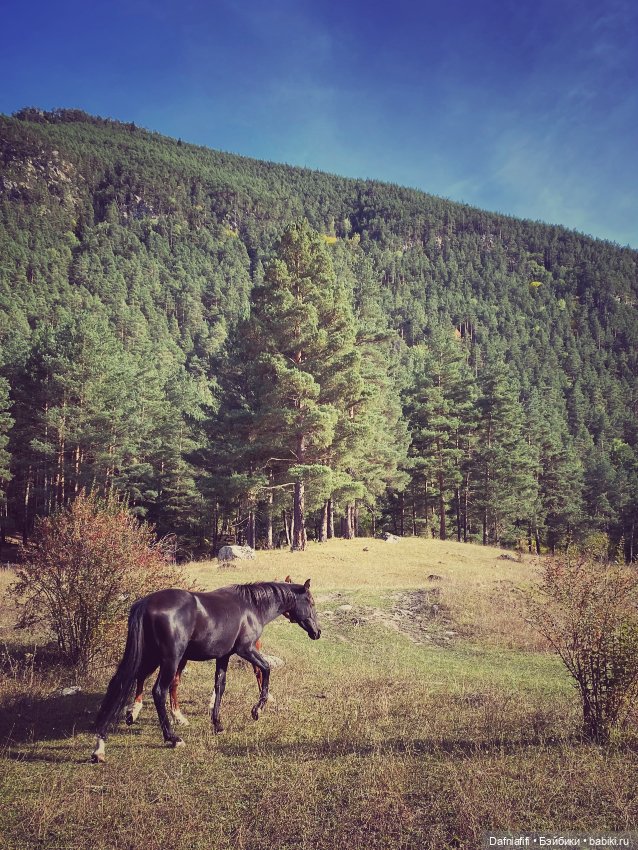 Стрекозка Русе — Домашние фото авторских кукол: личные коллекции (фото 9)