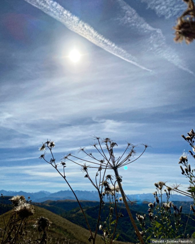 Стрекозка Русе — Домашние фото авторских кукол: личные коллекции (фото 7)