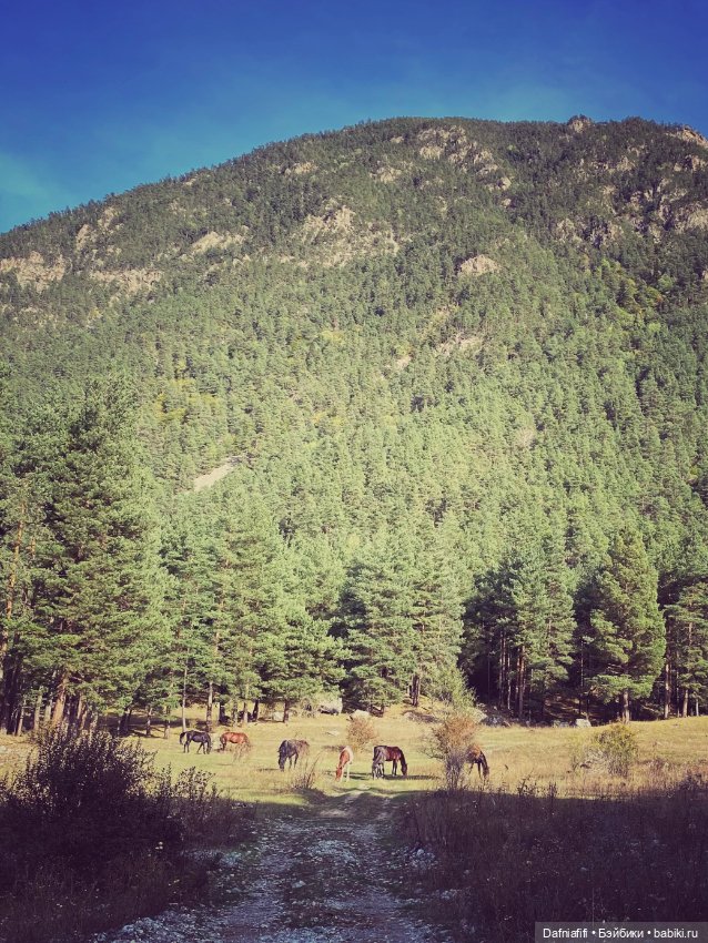 Стрекозка Русе — Домашние фото авторских кукол: личные коллекции (фото 8)