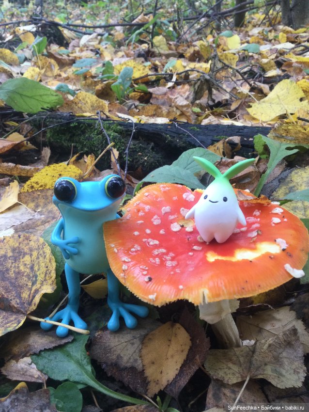 Apo frog Маркус и Малыш Лу. Осень. Лес. Айда по грибы (фото 4)