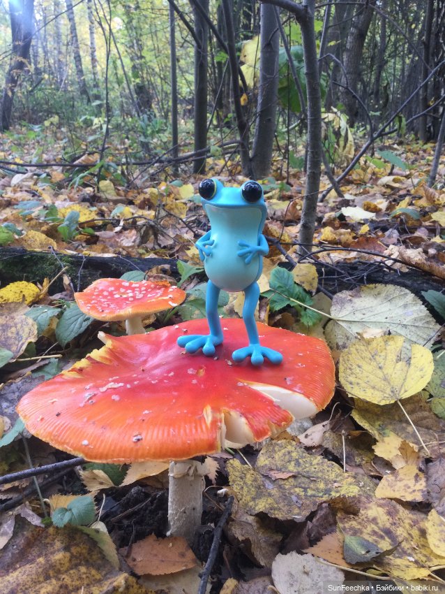 Apo frog Маркус и Малыш Лу. Осень. Лес. Айда по грибы