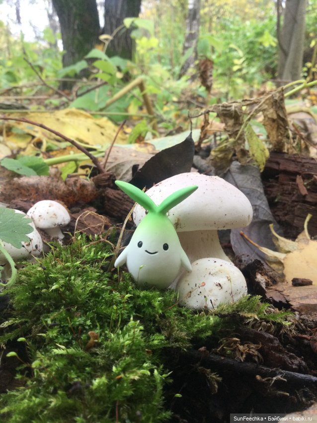 Apo frog Маркус и Малыш Лу. Осень. Лес. Айда по грибы (фото 5)