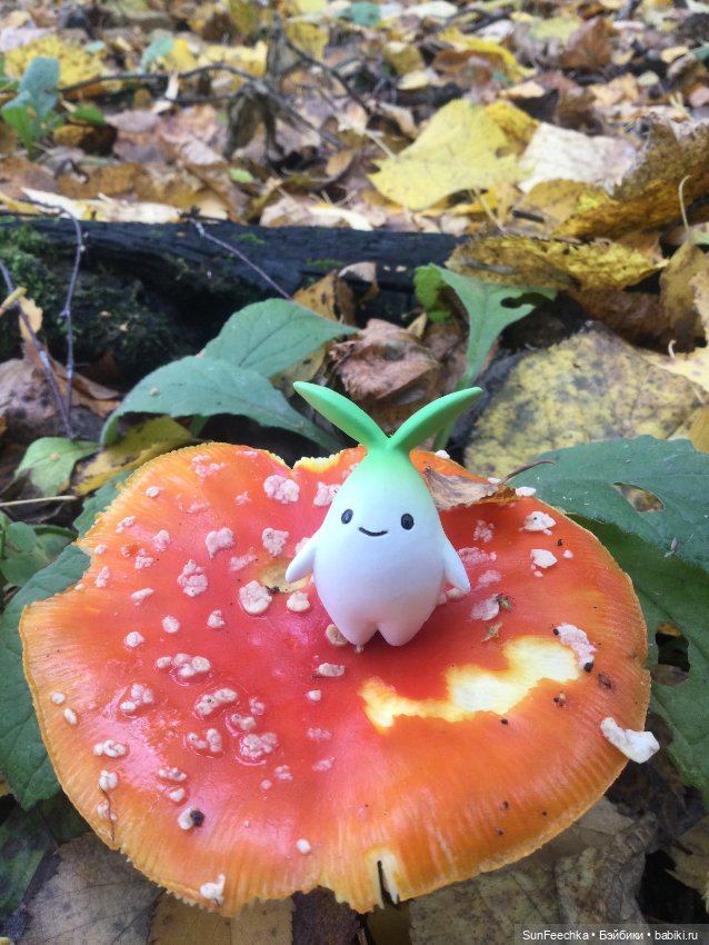 Apo frog Маркус и Малыш Лу. Осень. Лес. Айда по грибы (фото 3)