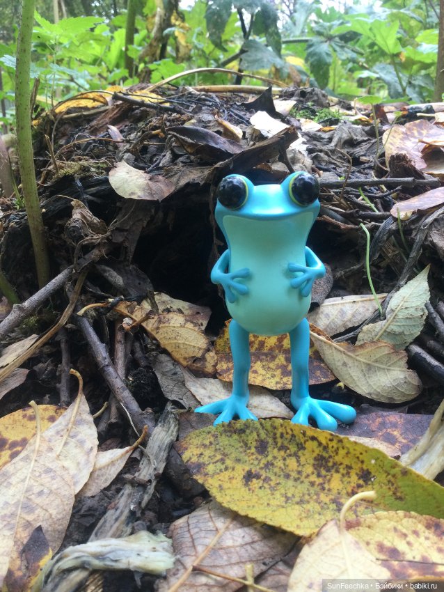 Apo frog Маркус и Малыш Лу. Осень. Лес. Айда по грибы (фото 6)