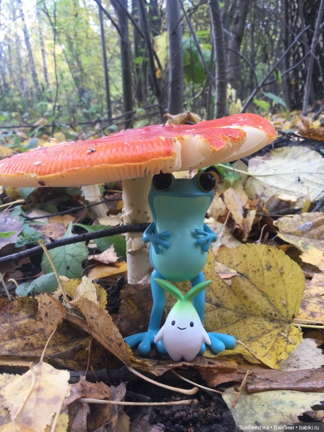 Apo frog Маркус и Малыш Лу. Осень. Лес. Айда по грибы (фото 2)