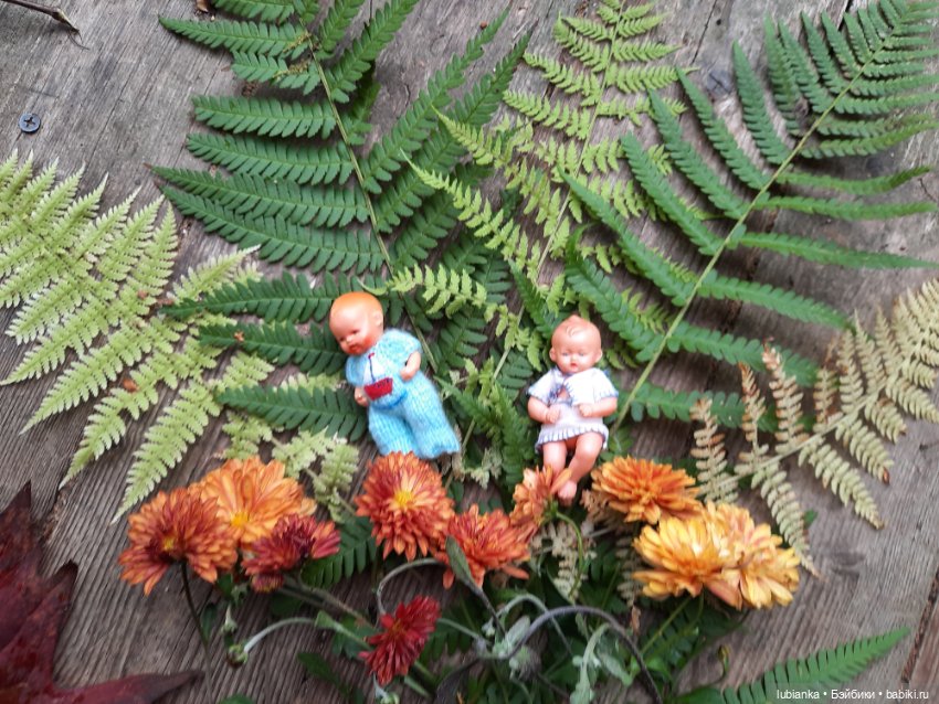 Осенние братишки🍂🍁🍃🍀🙋🙋‍♂️ (фото 7)