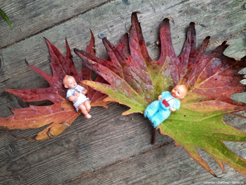 Осенние братишки🍂🍁🍃🍀🙋🙋‍♂️ (фото 10)
