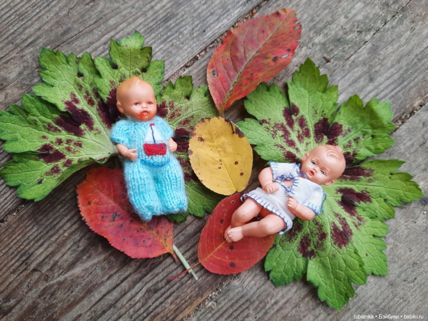 Осенние братишки🍂🍁🍃🍀🙋🙋‍♂️ (фото 3)