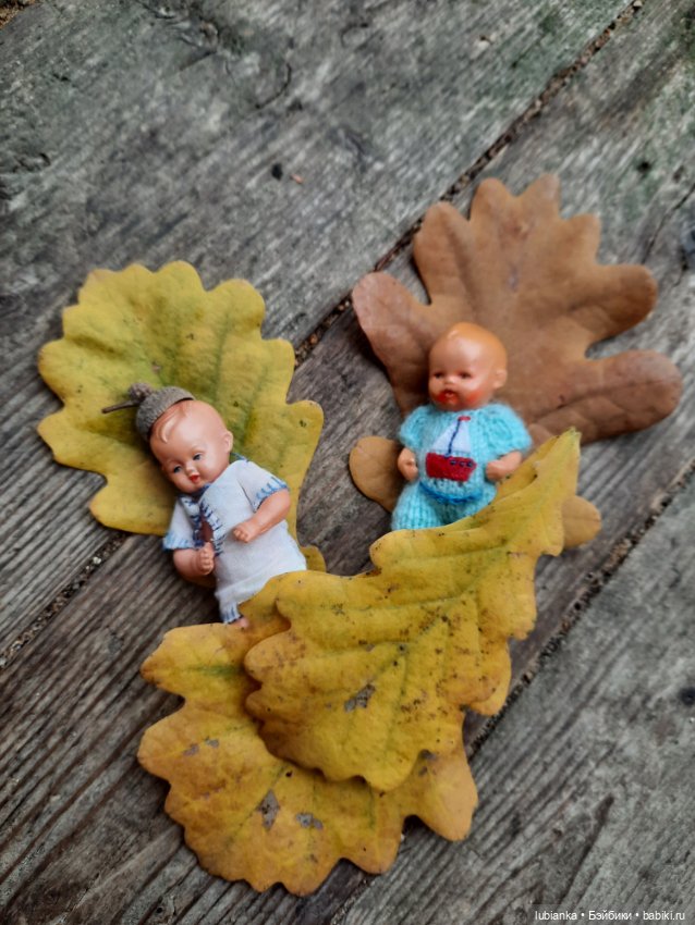 Осенние братишки🍂🍁🍃🍀🙋🙋‍♂️ (фото 4)