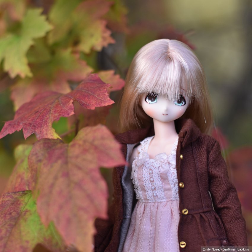 Алая осень — Домашние коллекции кукол: фото собраний (фото 5)