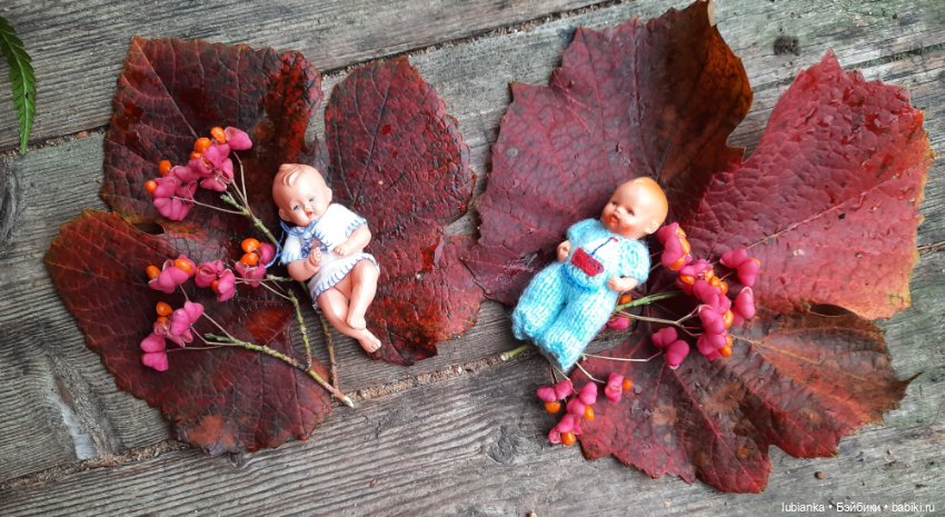 Осенние братишки🍂🍁🍃🍀🙋🙋‍♂️ (фото 5)