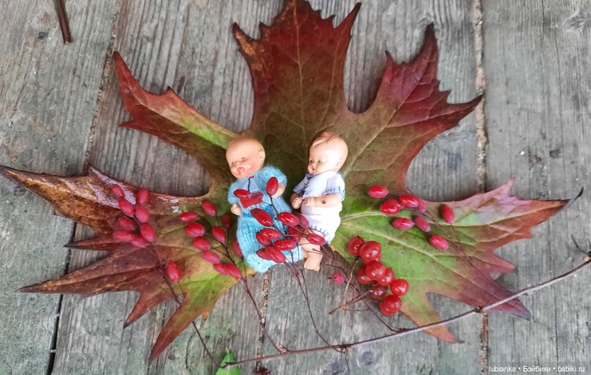 Осенние братишки🍂🍁🍃🍀🙋🙋‍♂️