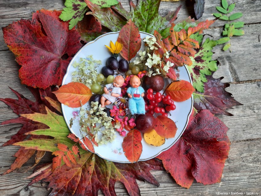 Осенние братишки🍂🍁🍃🍀🙋🙋‍♂️