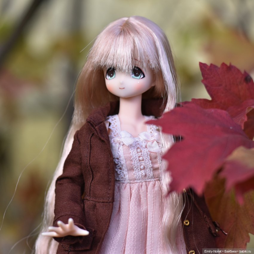 Алая осень — Домашние коллекции кукол: фото собраний (фото 4)