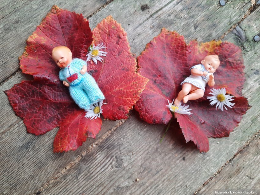 Осенние братишки🍂🍁🍃🍀🙋🙋‍♂️