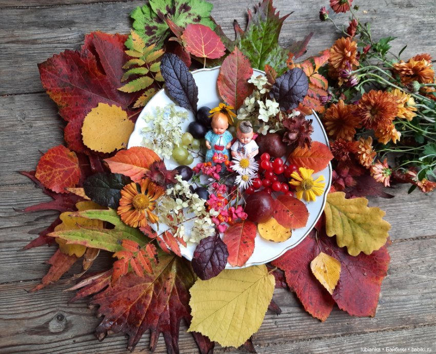 Осенние братишки🍂🍁🍃🍀🙋🙋‍♂️