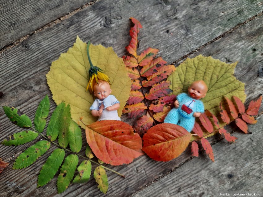 Осенние братишки🍂🍁🍃🍀🙋🙋‍♂️ (фото 6)