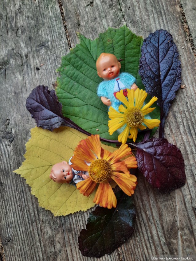 Осенние братишки🍂🍁🍃🍀🙋🙋‍♂️