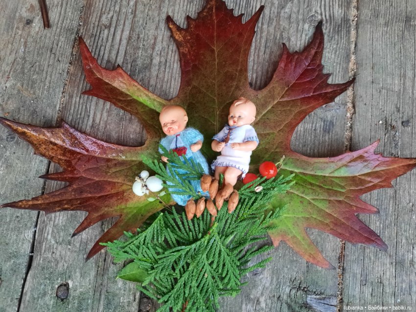 Осенние братишки🍂🍁🍃🍀🙋🙋‍♂️