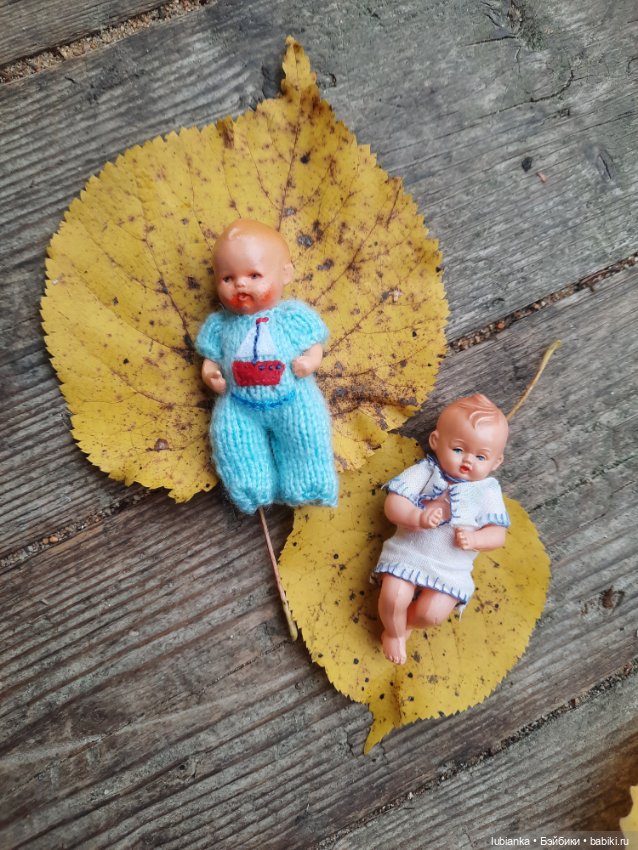 Осенние братишки🍂🍁🍃🍀🙋🙋‍♂️