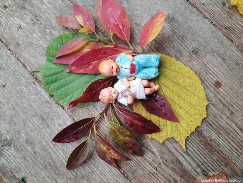 Осенние братишки🍂🍁🍃🍀🙋🙋‍♂️