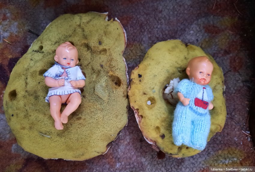 Осенние братишки🍂🍁🍃🍀🙋🙋‍♂️